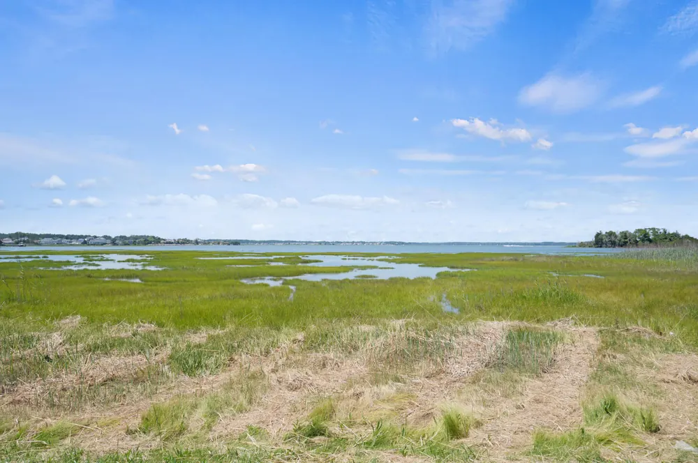Marsh grass and tidal pools at the edge of the bay